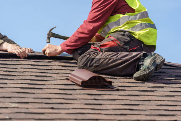 Best Metal Roofing Contractor  in Eveleth, MN